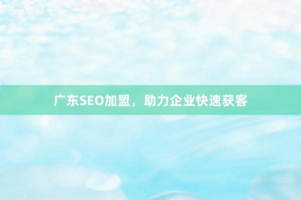 广东SEO加盟，助力企业快速获客